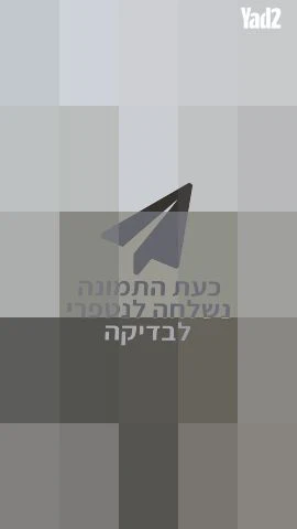 עגלת תינוק של חברת junama - Image 3