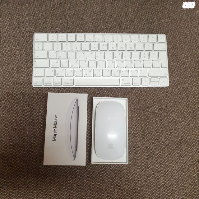 עכבר מקלדת apple