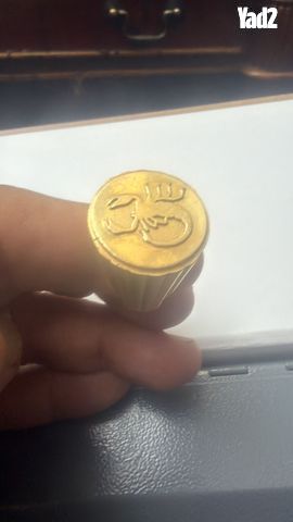 טבעות זהב 14 קראט חותם