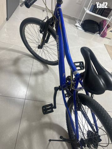 תמונה ממוזערת 2
