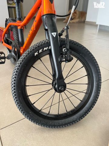 אופניי RASCAL - Image 3
