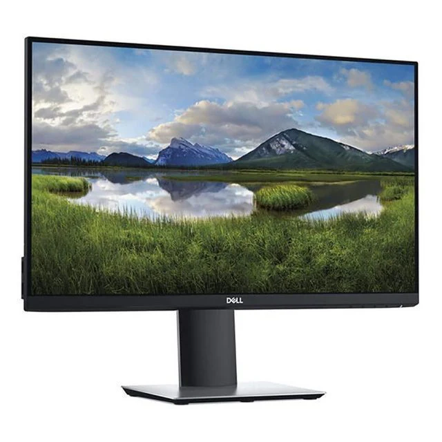 DELL P2419H