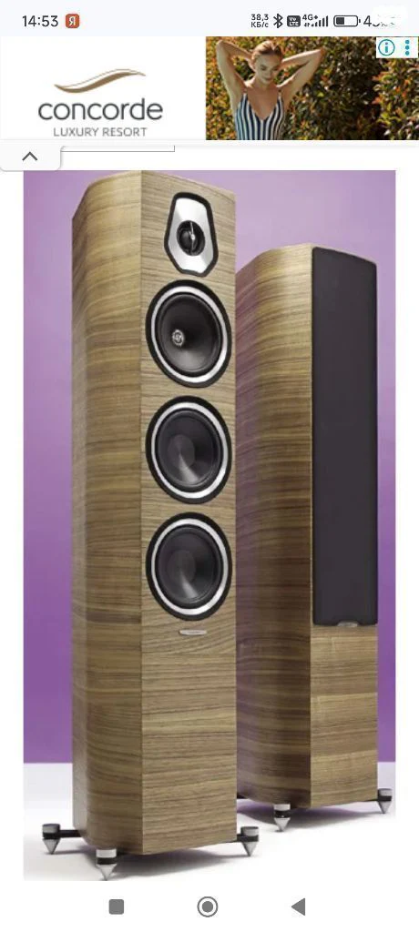 SONUS FABER SONETTO III