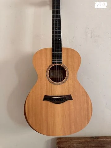 Taylor Academy 12
